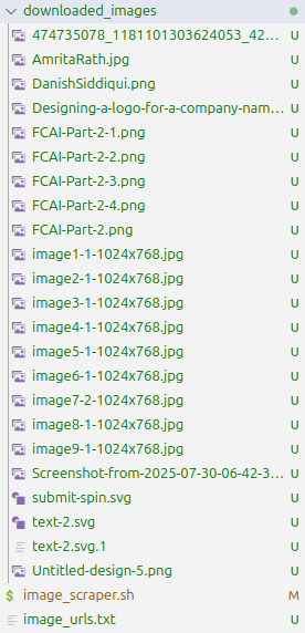 downloaded_files_and_urls